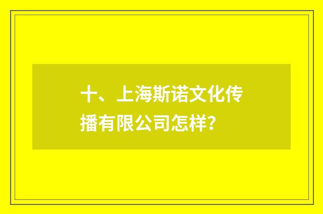 十、上海斯诺文化传播有限公司怎样?