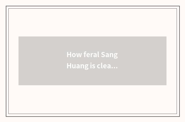 How feral Sang Huang is cleaned?