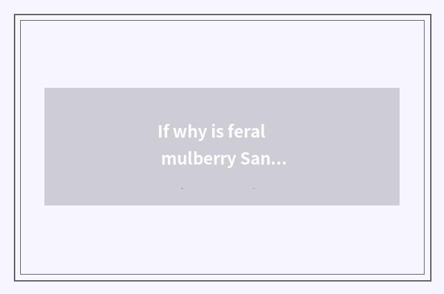 If why is feral mulberry Sang Huang, poplar Sang Huang, pine Sang Huang, birch S