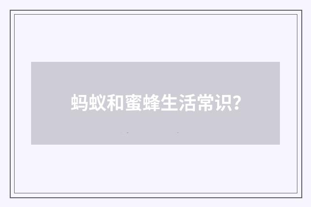 蚂蚁和蜜蜂生活常识？