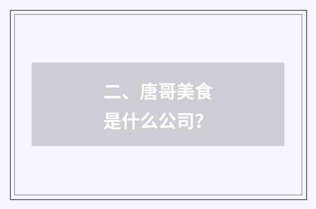 二、唐哥美食是什么公司?