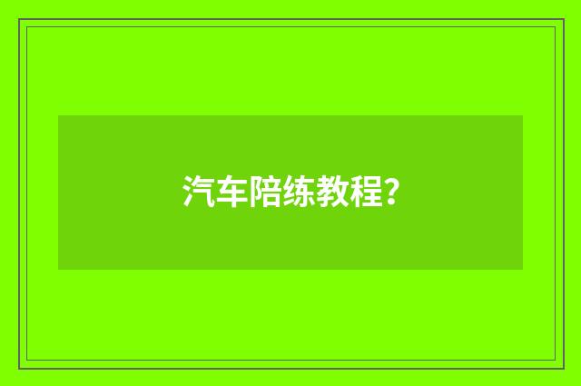 汽车陪练教程？