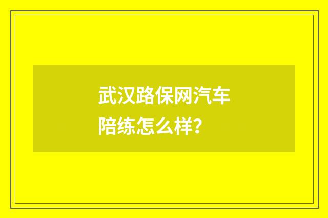 武汉路保网汽车陪练怎么样?