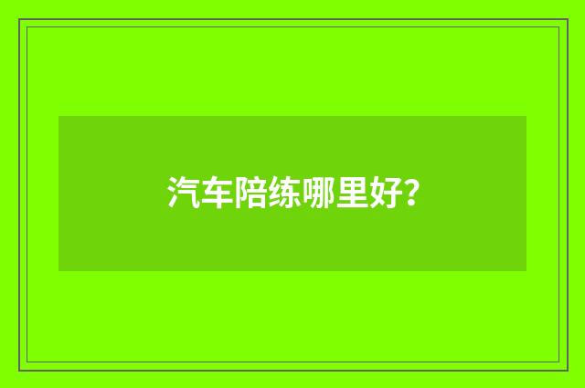汽车陪练哪里好?