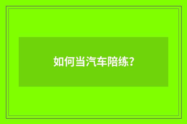 如何当汽车陪练?