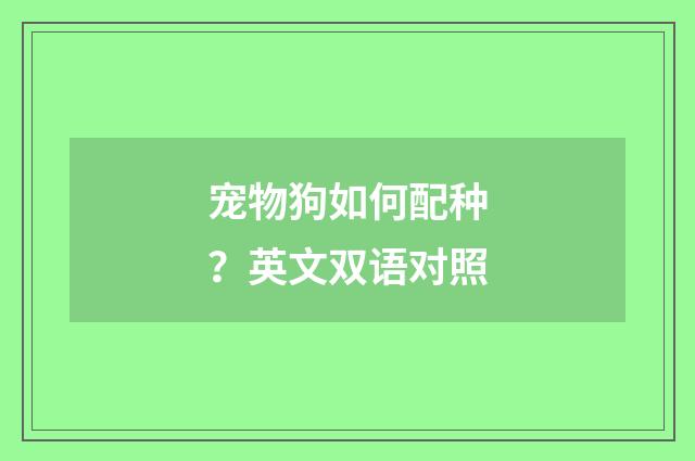 宠物狗如何配种?英文双语对照