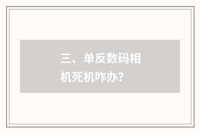 三、单反数码相机死机咋办？