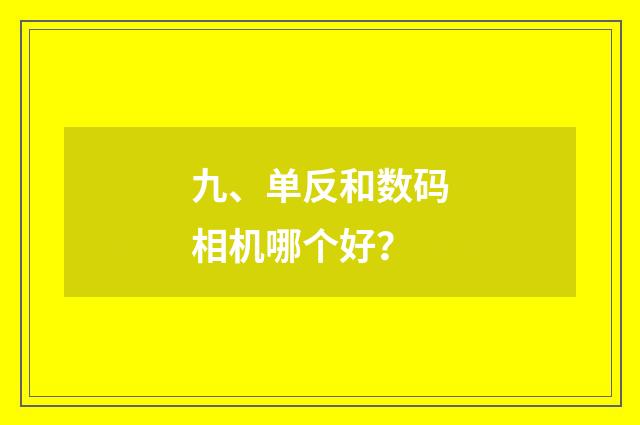 九、单反和数码相机哪个好?