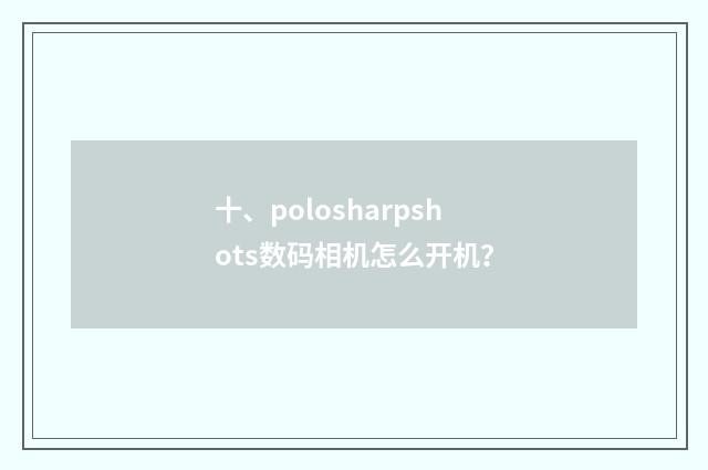 十、polosharpshots数码相机怎么开机?