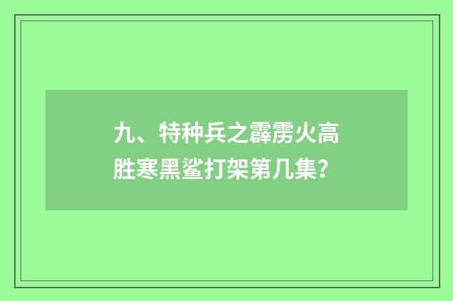 九、特种兵之霹雳火高胜寒黑鲨打架第几集?