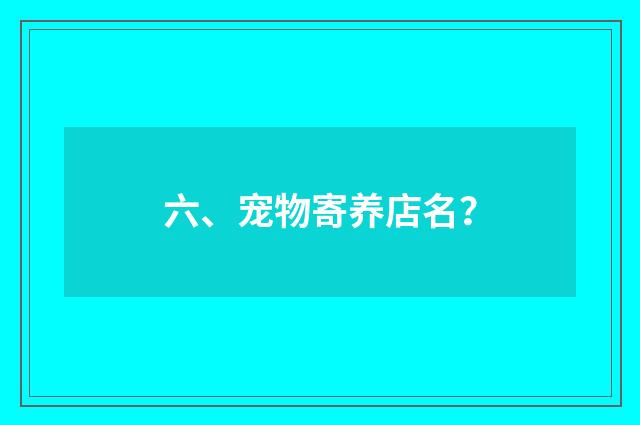六、宠物寄养店名?