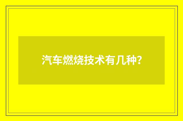 汽车燃烧技术有几种?