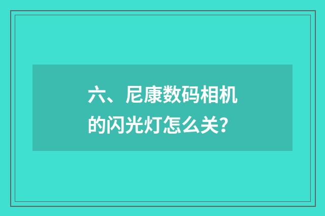 六、尼康数码相机的闪光灯怎么关?
