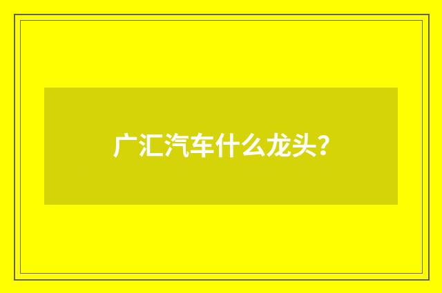 广汇汽车什么龙头?