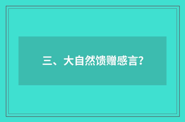 三、大自然馈赠感言?