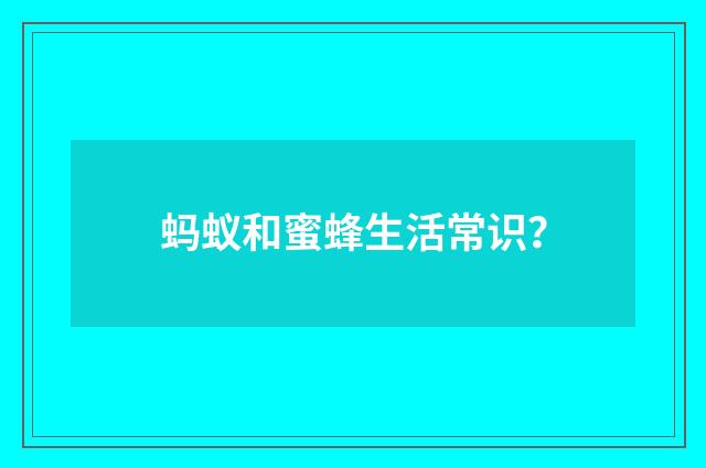 蚂蚁和蜜蜂生活常识?