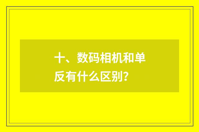 十、数码相机和单反有什么区别?