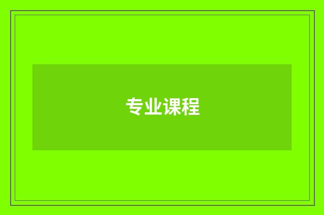 专业课程