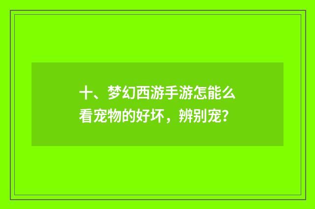 十、梦幻西游手游怎能么看宠物的好坏，辨别宠？