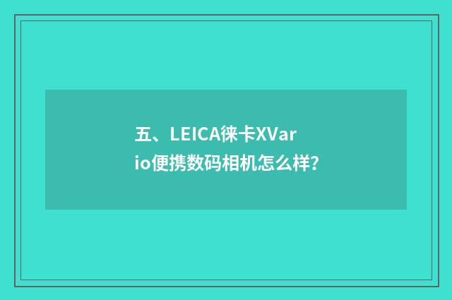五、LEICA徕卡XVario便携数码相机怎么样？