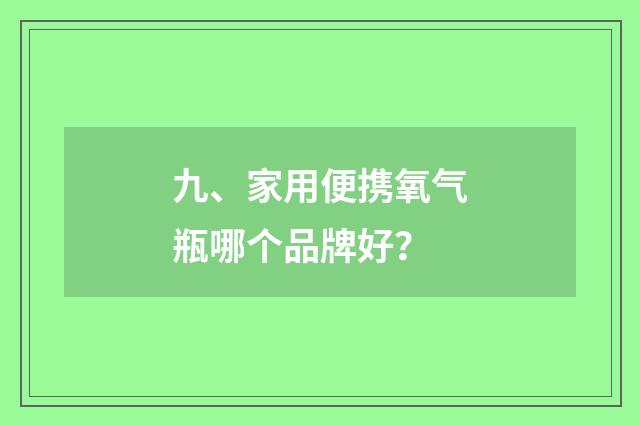 九、家用便携氧气瓶哪个品牌好?