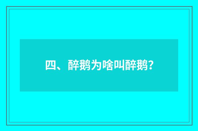 四、醉鹅为啥叫醉鹅?