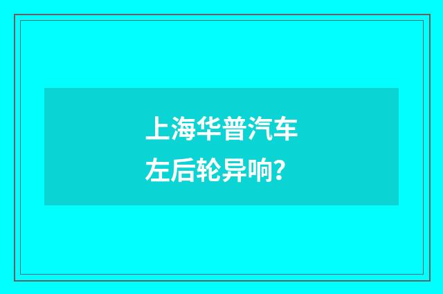 上海华普汽车左后轮异响？