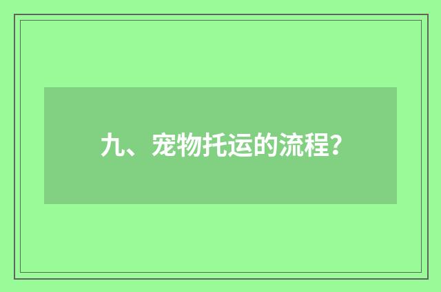 九、宠物托运的流程？