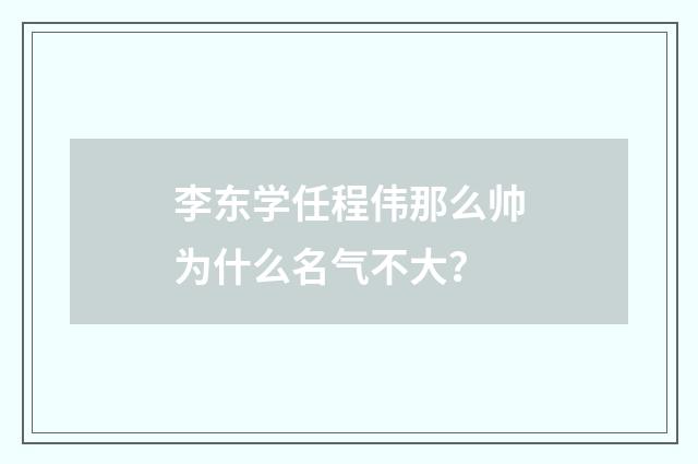 李东学任程伟那么帅为什么名气不大?