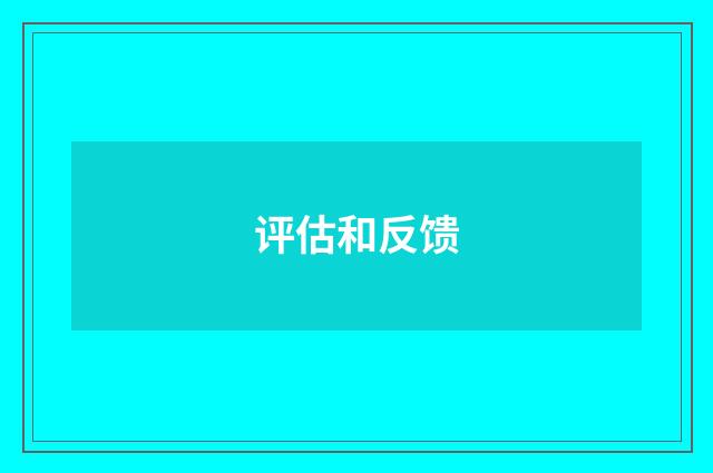 评估和反馈