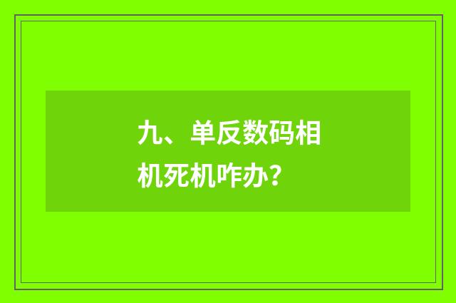 九、单反数码相机死机咋办?