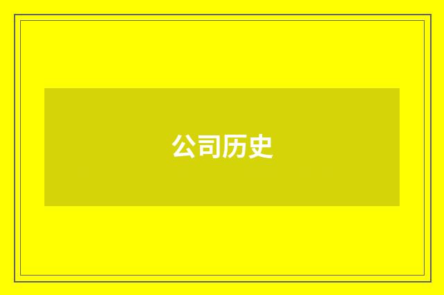 公司历史