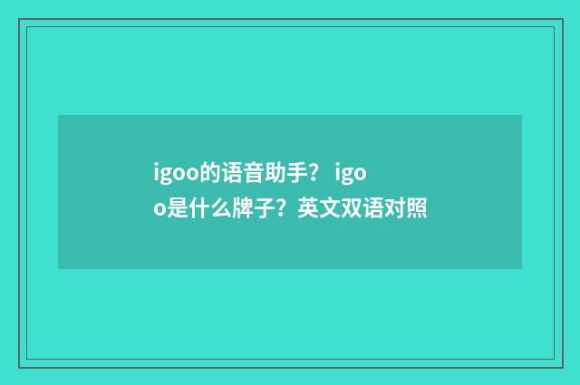 igoo的语音助手？ igoo是什么牌子？英文双语对照