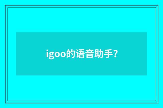 igoo的语音助手?