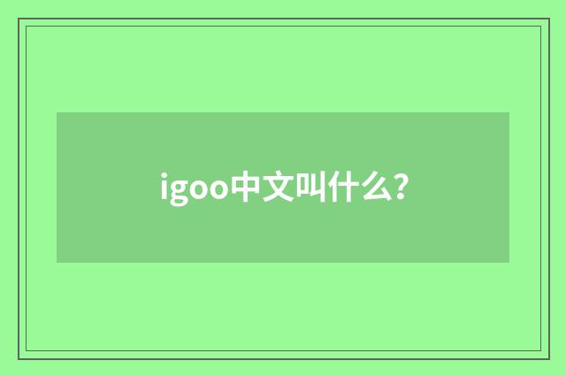 igoo中文叫什么？