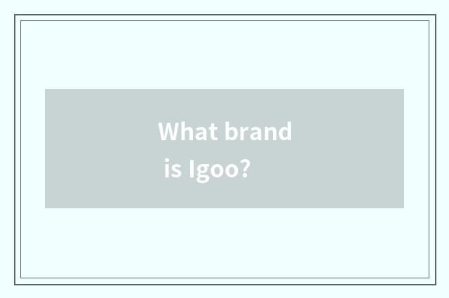 What brand is Igoo?