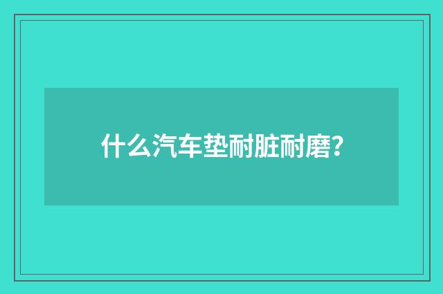 什么汽车垫耐脏耐磨？