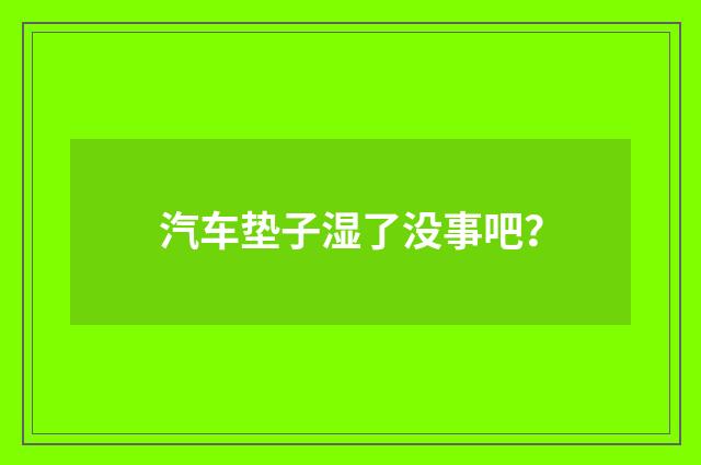 汽车垫子湿了没事吧?