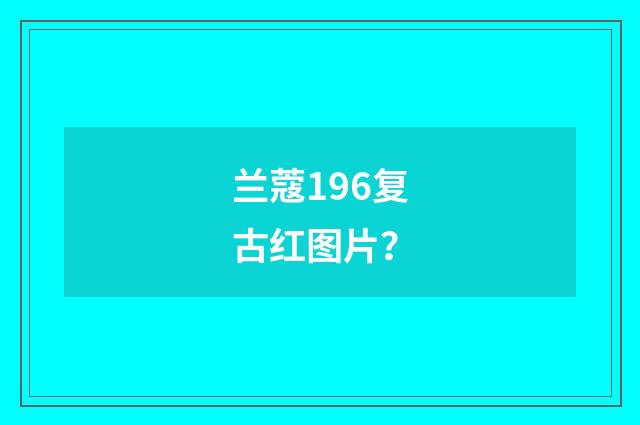 兰蔻196复古红图片?
