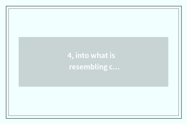 4, into what is resembling chip?
