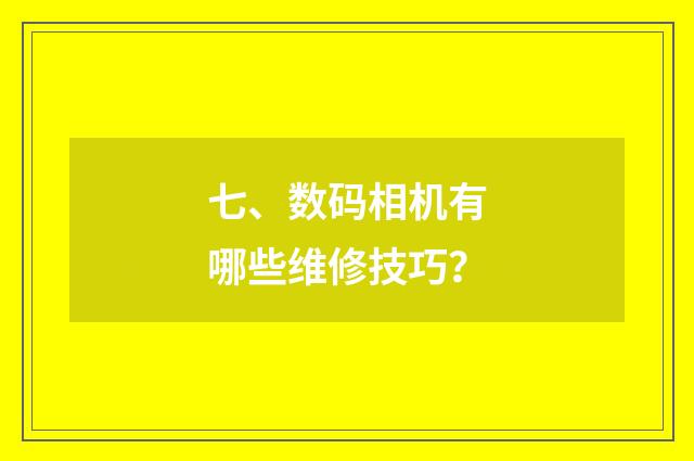 七、数码相机有哪些维修技巧?