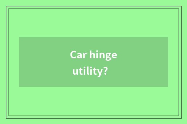 Car hinge utility?