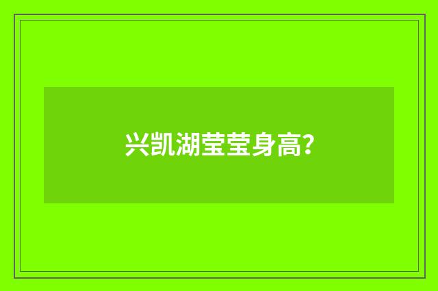 兴凯湖莹莹身高?