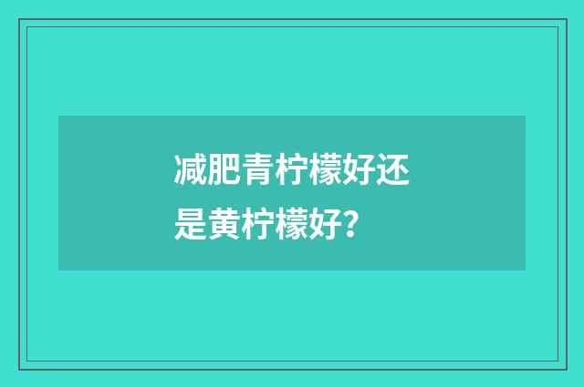 减肥青柠檬好还是黄柠檬好?