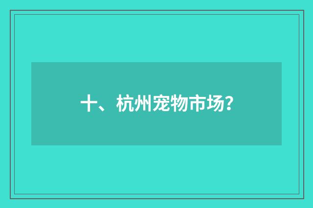 十、杭州宠物市场?