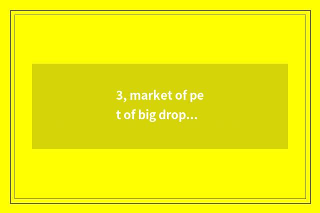 3, market of pet of big drop of Fosan of Guangzhou pet market?