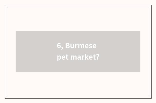 6, Burmese pet market?