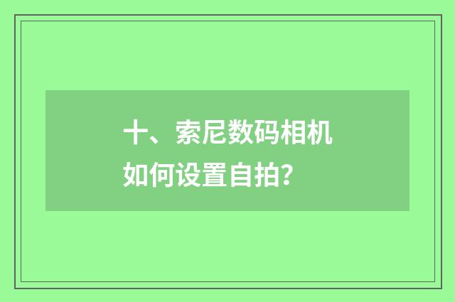 十、索尼数码相机如何设置自拍?