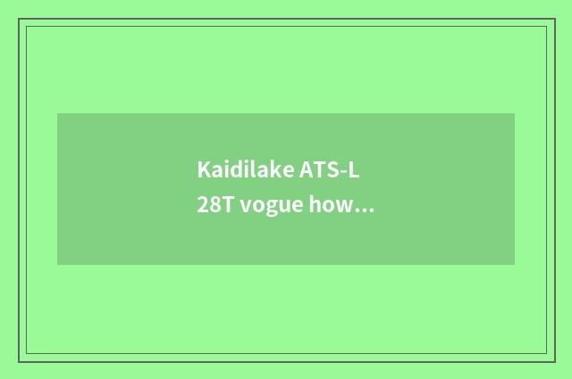 Kaidilake ATS-L28T vogue how to change can you inspect back a car?