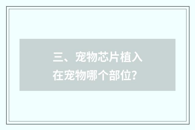 三、宠物芯片植入在宠物哪个部位?